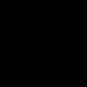 Meet your Posher, Genevieve